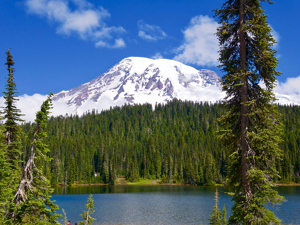 Mt. Rainier from Reflection Lake