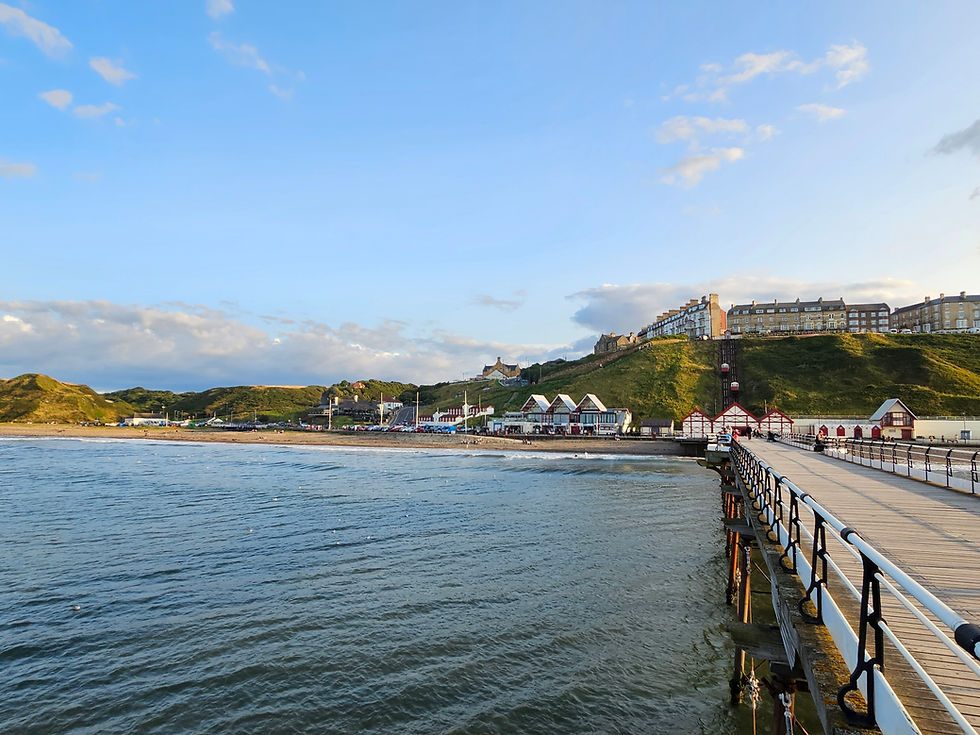 NeuroNest Explorers: Saltburn-By-The-Sea