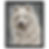 Thumbnail: Lily Framed Canvas 40x50 cm / 16x20″