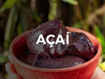 Açai.jpg