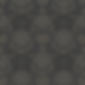 lion pattern.jpg
