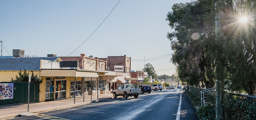 Texas qld pest control