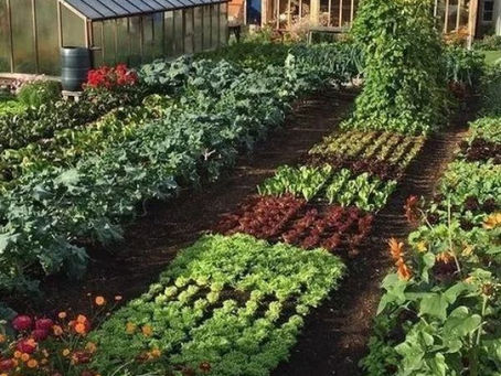 Elements of a Sustainable Permaculture Home