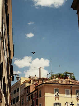 __9_0105.jpg