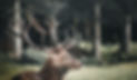 pexels-cmonphotography-1809669.jpg
