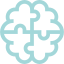 brain icon