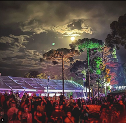 Carnavibe Noite by Bry Ortega