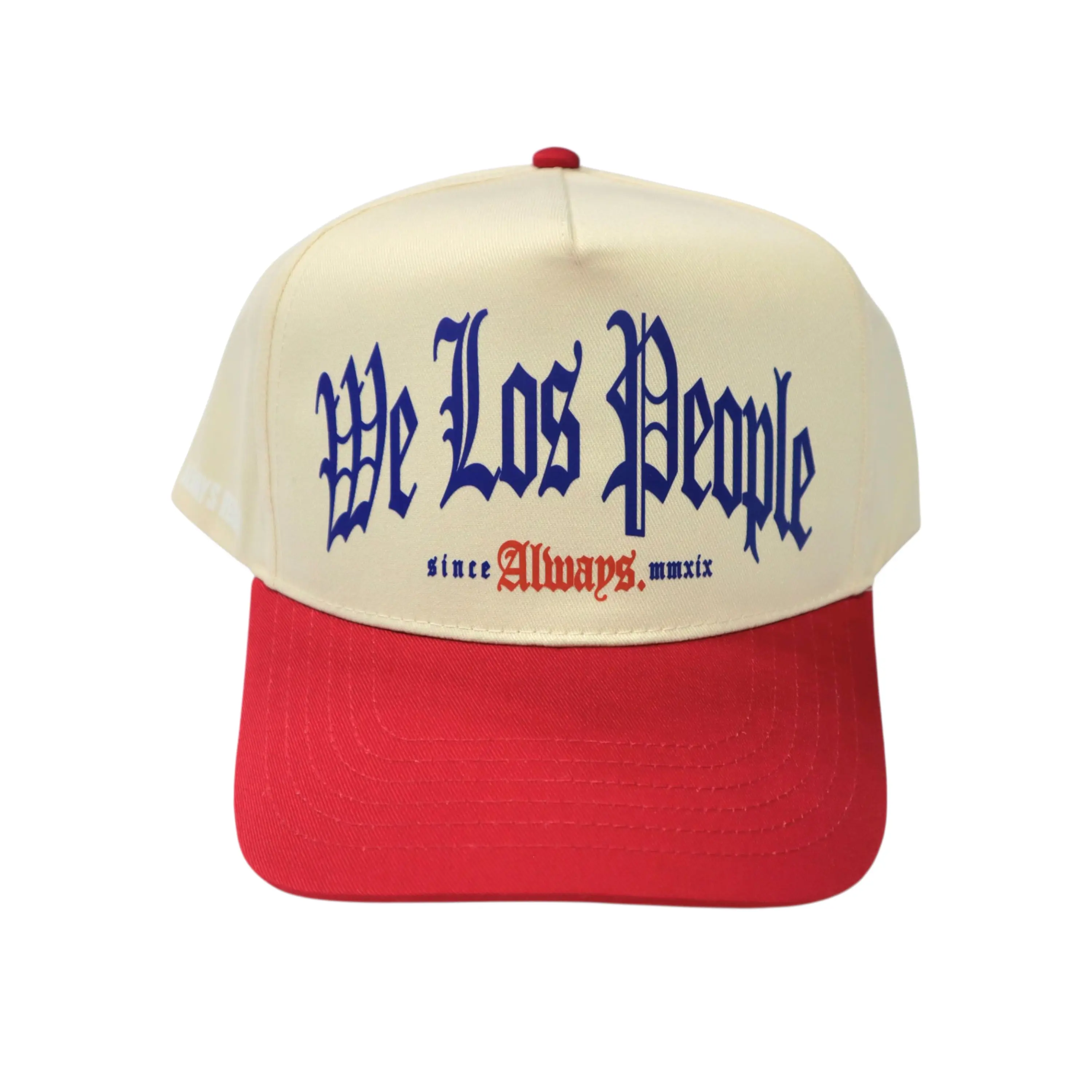 WE THE PEOPLE SNAPBACK 