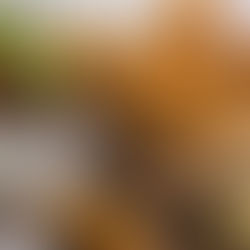 The Largest Investment in Cultivated Meat to Date Raised by Israel’s Future Meat