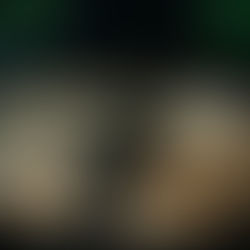 India’s Population Prime for Cultivated Meat 