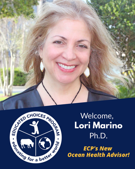 ECP Welcomes Renowned Neuroscientist Lori Marino, Ph.D., as Ocean Health Advisor