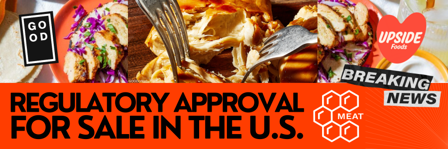 There is a plate of cultivated beef and chicken with a fork on the picture and text "a regulation approval for sale in the U.S.".