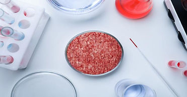 A petri dish filled with cultivated beef next to test tubes and a microscope.