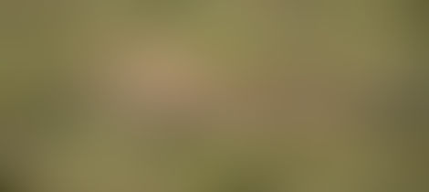 And now to get going again...