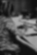 thumbnail__DSC2706.jpg