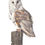 Thumbnail: 'Sage' Barn Owl Limited Edition Print