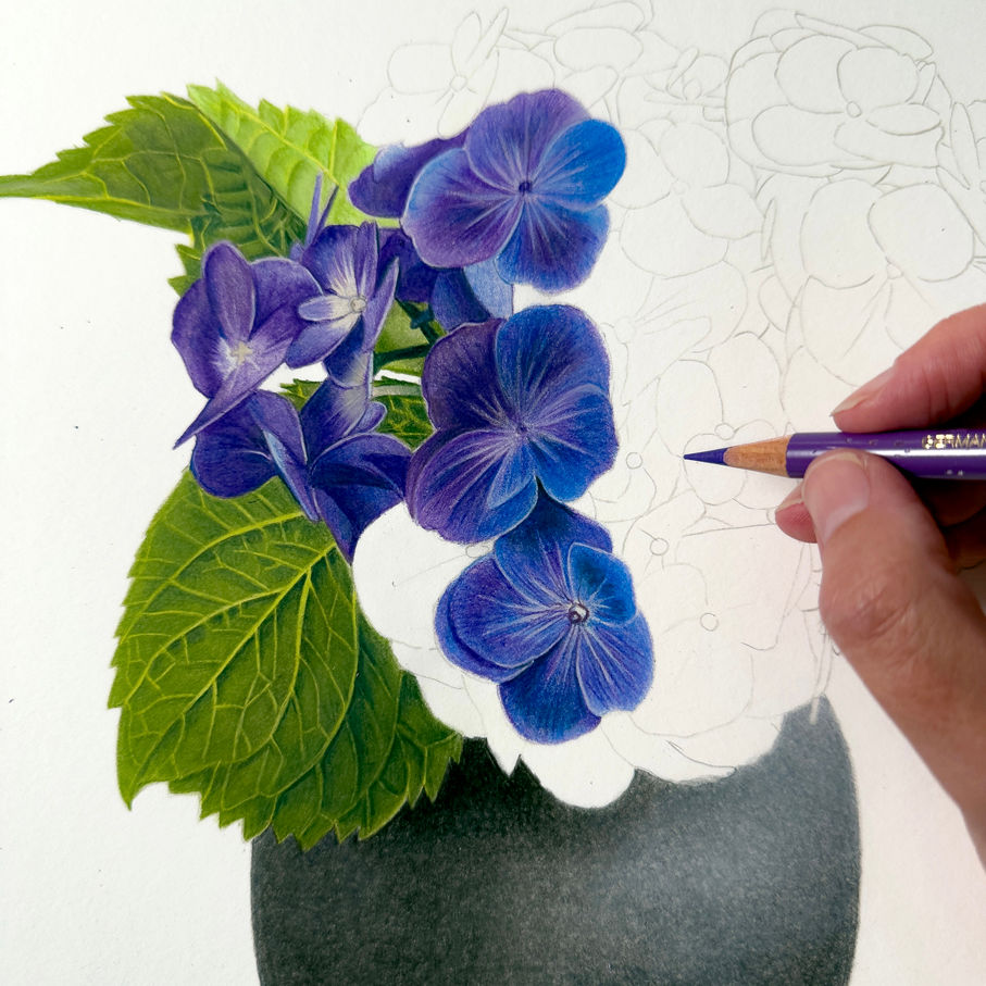 Thumbnail: Original Drawing | Blue Hydrangea
