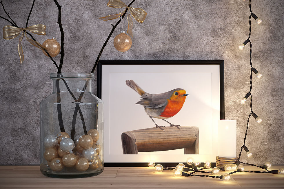 Thumbnail: 'Robin' Limited Edition Print