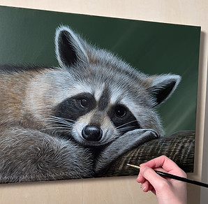 Raccoon Acrylic Painting Tutorial