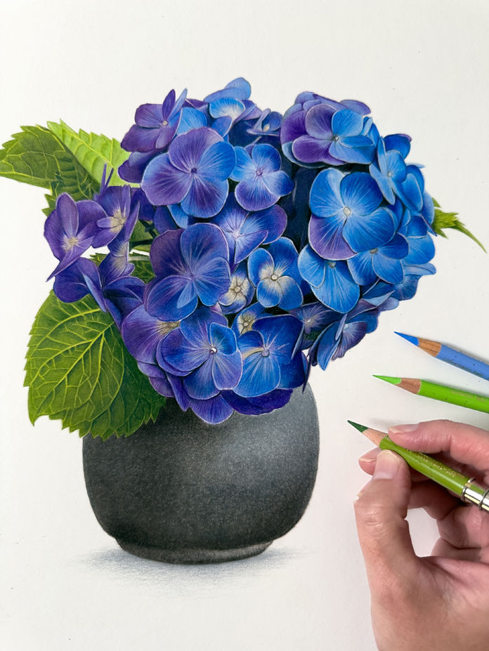 Thumbnail: Original Drawing | Blue Hydrangea