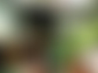 Chalet Bougainvillea - At The Heart of Nature