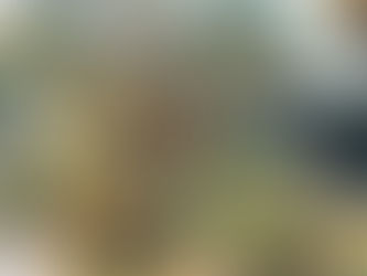 Christmas Eve at Ilomba