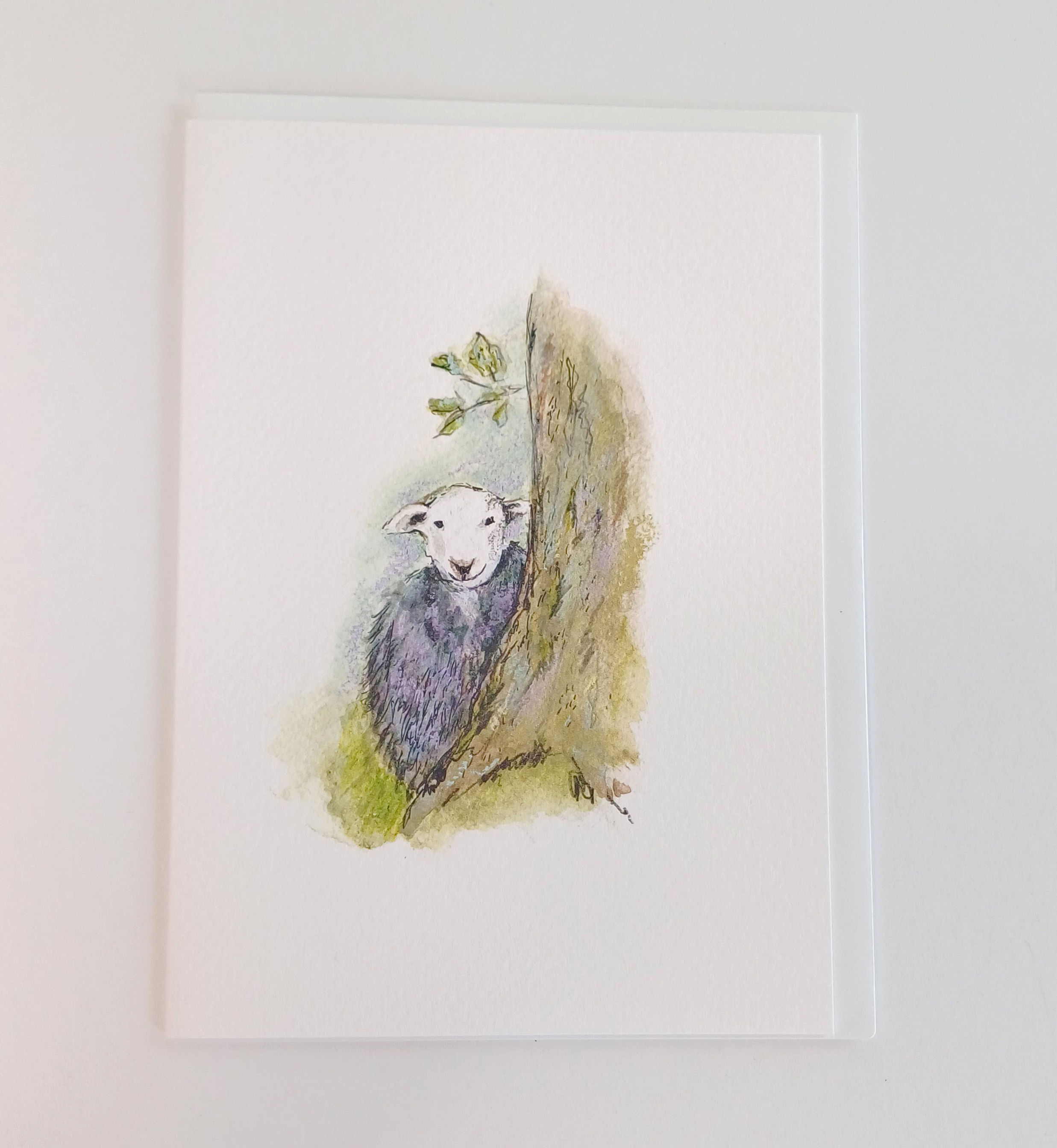 Herdwick sheep birthday card