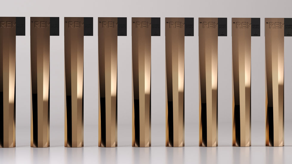 REM AWARD DESIGN