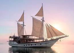 Boat.webp