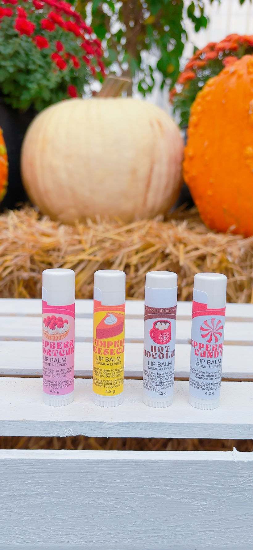 Seasonal Lip balms