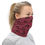 Thumbnail: “Glacier Bear” Neck Gaiter RED