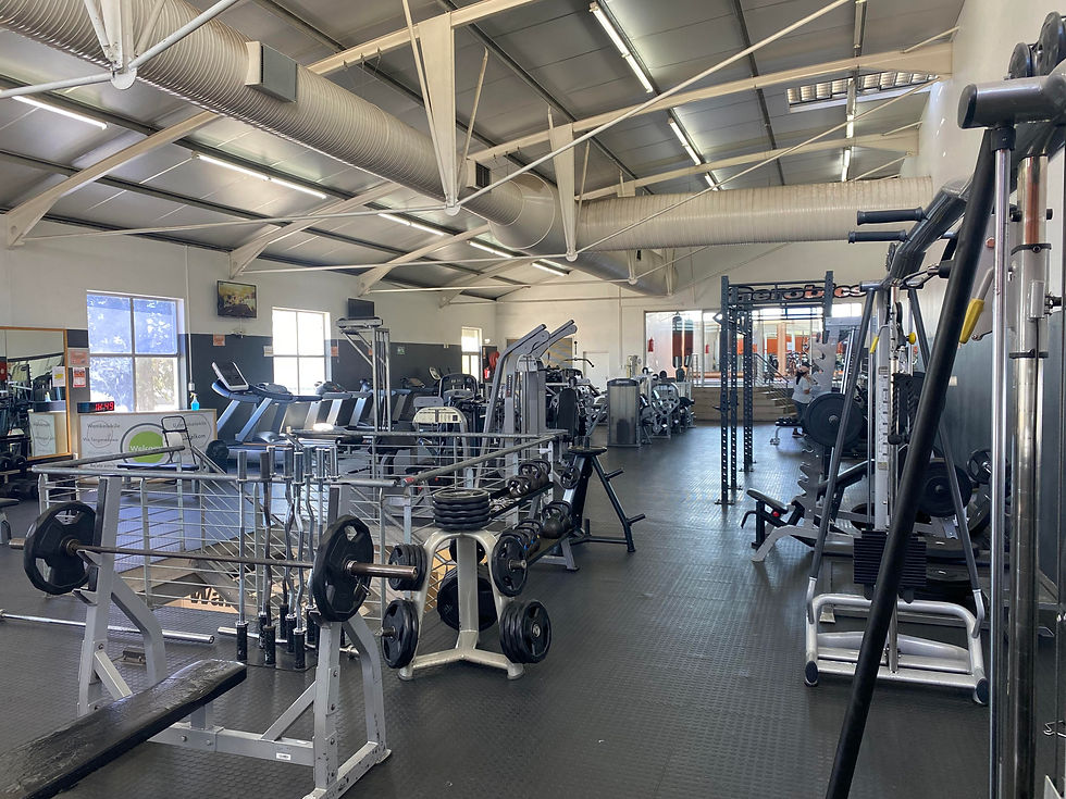 Gym 2.jpg