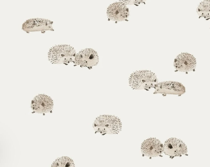 Miniatura: HEDGEHOGS