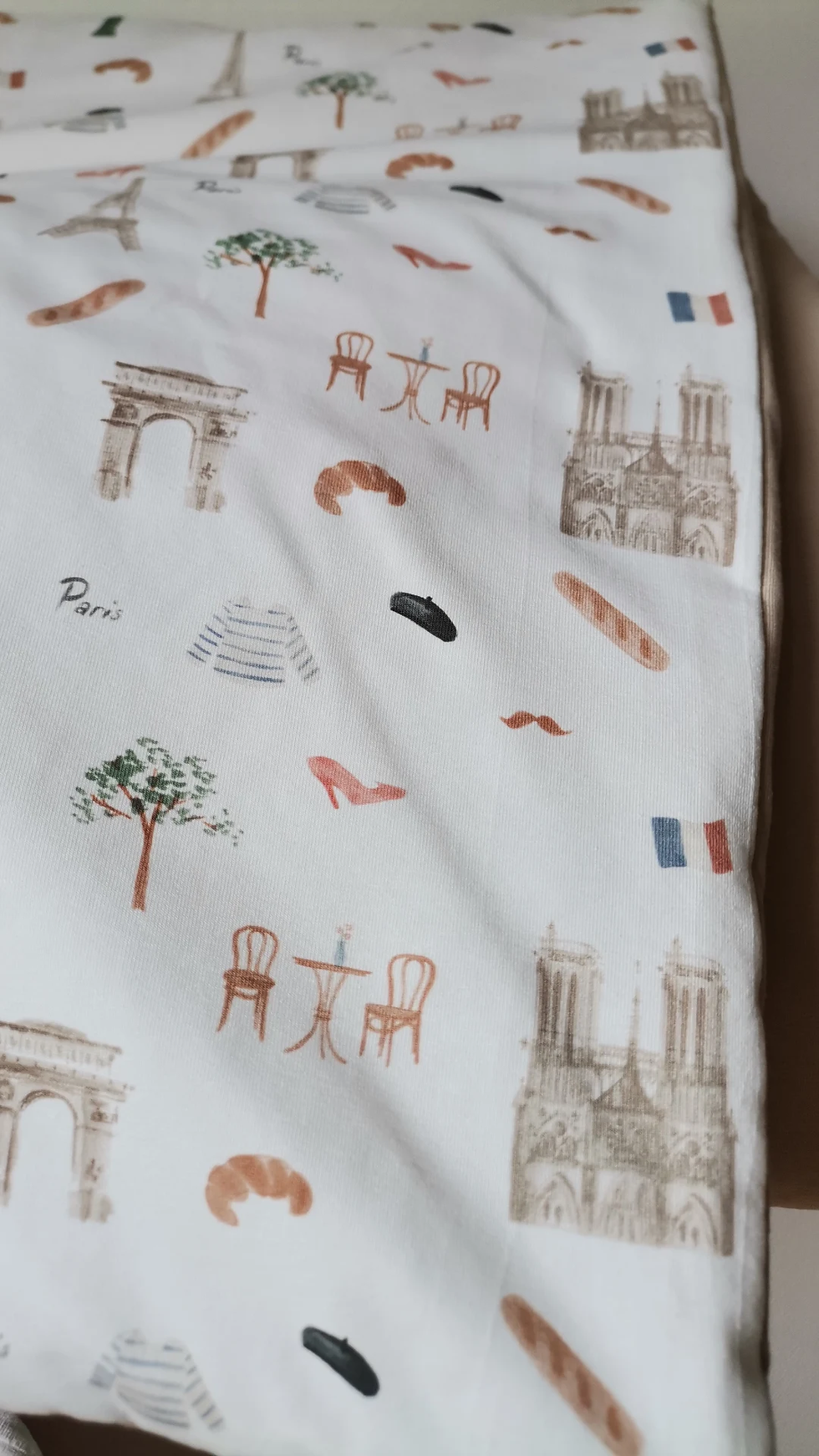 Miniatura: PARIS IN LOVE