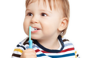 Dentista Para Ninos En Puebla