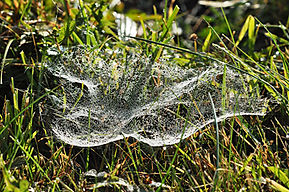 Bildercollage, Naturfotografie, Naturfotos, Naturbilder, Landschaft, Mond, Landschaftsfotografie, Landschaftsbilder, Sonnenaufgang, Sonnenuntergang, Sonne 