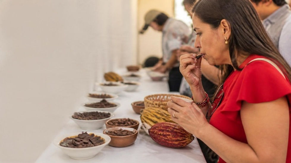 Muestras de chocolate y granos de cacao numerados sobre una mesa de catación en una feria de cacao en Arauquita.