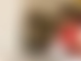 Dueña de una tienda de abarrotes en México revisa facturas sobre el mostrador