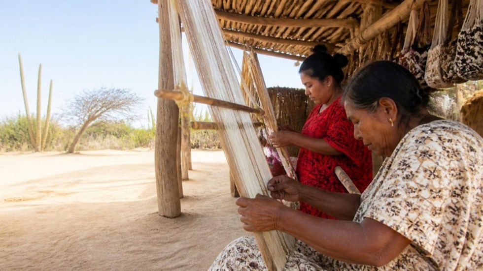 Dos artesanas tejen en telares bajo una enramada en La Guajira, con mochilas terminadas colgadas a su alrededor.