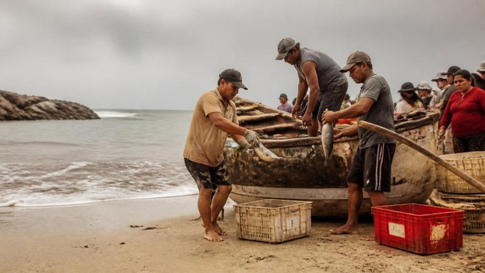 Pescadores artesanales descargan su pesca de botes de madera en una caleta del norte del Perú