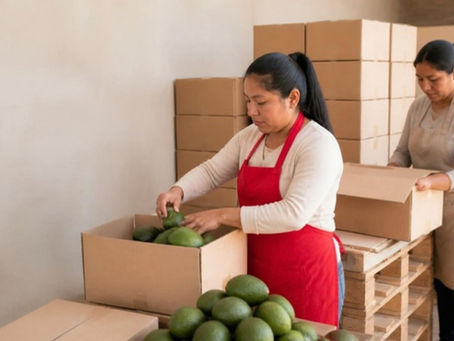 Trabajadoras empacan paltas en cajas de cartón en el almacén de una pequeña exportadora peruana.