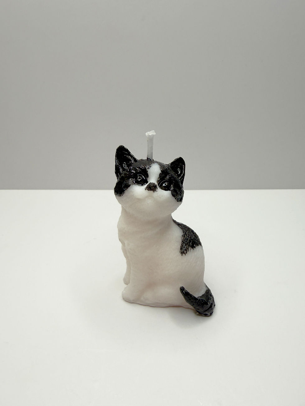 Miniatura: Gatito