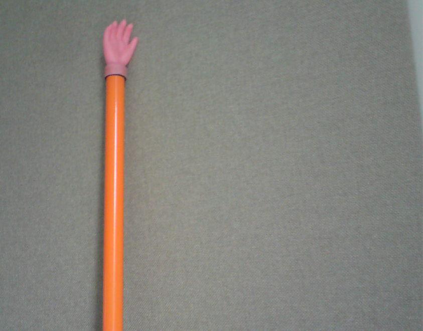 OrangeFalseLimb11Aug09_edited.png