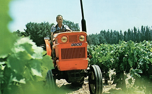 small Fiat 450 vigneto e driving through a wine field