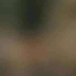 Moxhull Hall, Holly Ln, Wishaw, Sutton Coldfield B76 9PD