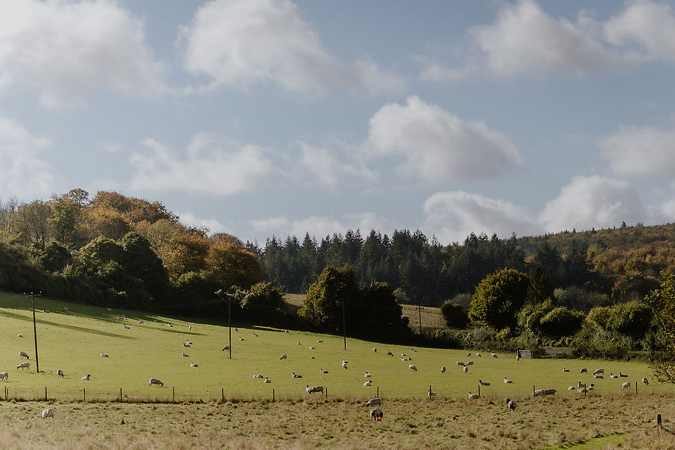 Upwaltham Barns Wedding