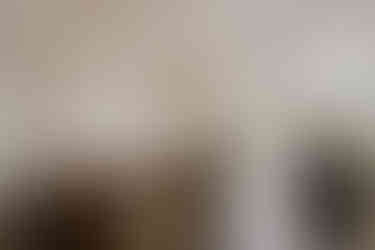 The Orangery, Holland Park, London W8 6LU