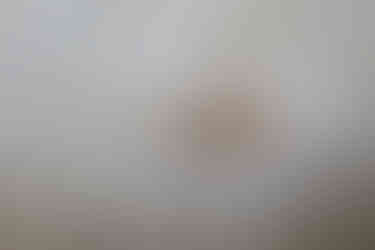 The Orangery, Holland Park, London W8 6LU