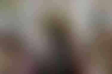 Chelsea Old Town Hall Wedding