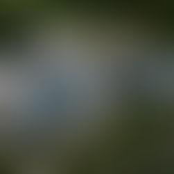 Carbis Bay Hotel & Estate Wedding